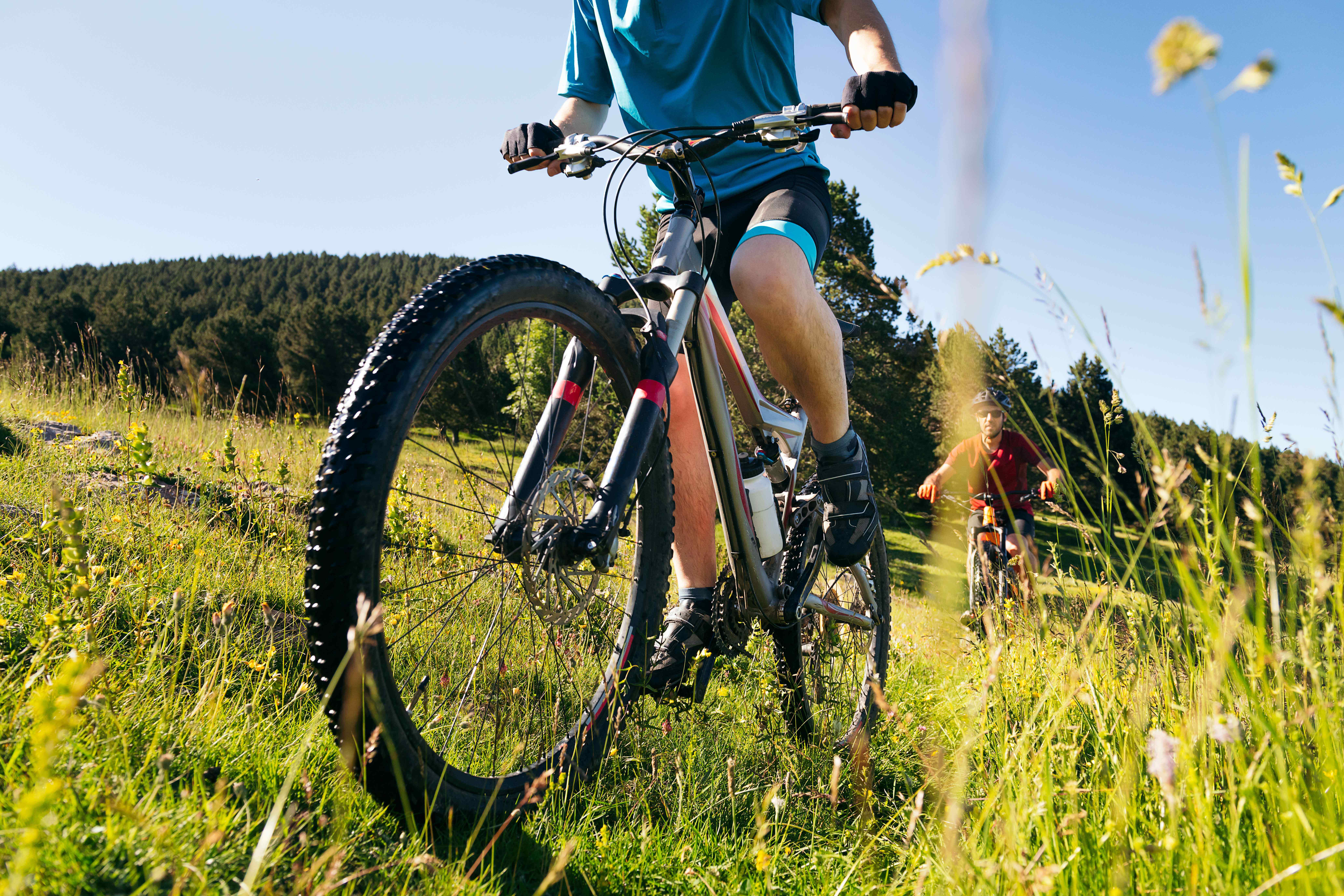 How to Choose a Mountain Bike on a Budget: Complete Guide image