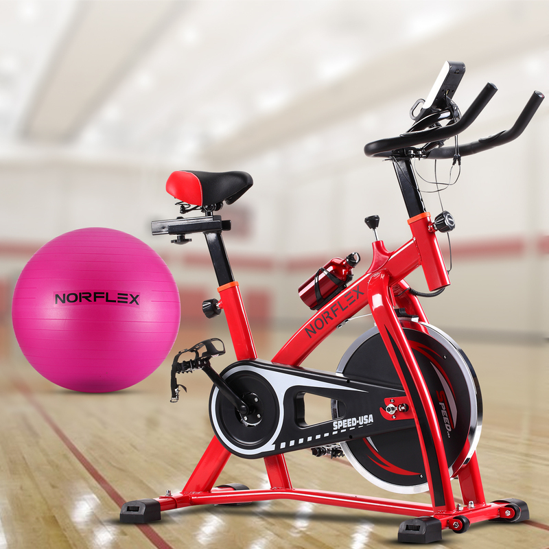 Norflx Spin Bike Exercise with Ball Flywheel Fitness Commercial Home Workout Gym Red