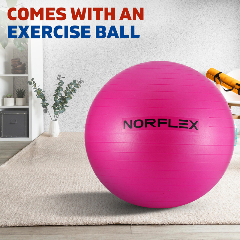 Norflx Spin Bike Exercise Ball Flywheel Fitness Commercial Home Workout Gym