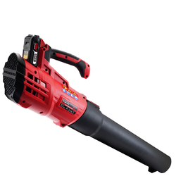 Baumr-AG Cordless Leaf Blower Hand-held Garden Tool with 20V Lithium Battery 
