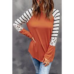 Azura Exchange Animal Print Long Sleeve Top with Striped Colorblock - 2XL