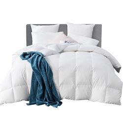 Giselle Bedding 800GSM Goose Down Feather Quilt King