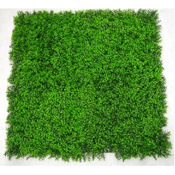 Deluxe Buxus Panels UV Stabilised 1m X 1m