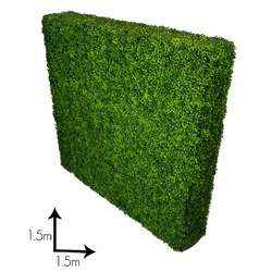 Large Portable Boxwood Hedges UV Stabilised 1.5m By 1.5m