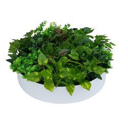 Artificial Green Wall Disc Art 60cm Mixed Fern & Ivy (Fresh White)