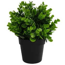 Small Potted Artificial Peperomia Plant UV Resistant 20cm