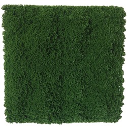 Dark Natural Green Artificial Moss / Green Wall UV Resistant 1m x 1m