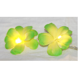 1 Set of 20 LED Green Frangipani Flower Battery String Lights Christmas Gift Home Wedding Party Decoration Outdoor Table Garland Wreath