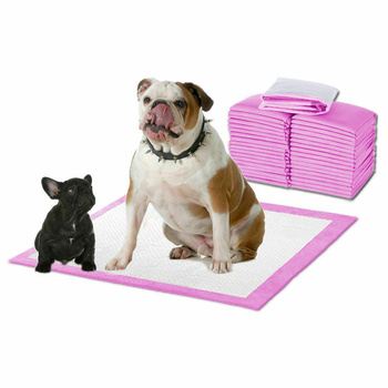 PaWz 200pcs 60x60cm Puppy Pet Dog Indoor Cat Toilet Training Pads Absorbent Pink
