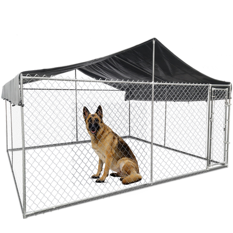 Large Dog Enclosures With Roof Heavy, Outdoor Dog Enclosures With Roof