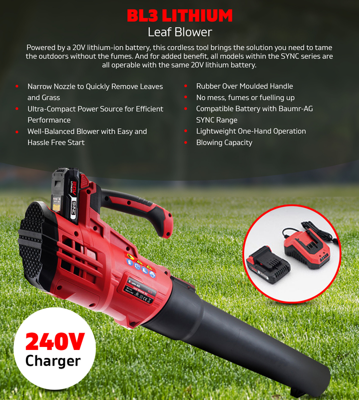 Baumr-AG Cordless Leaf Blower Hand-held Garden Tool with 20V Lithium Battery 