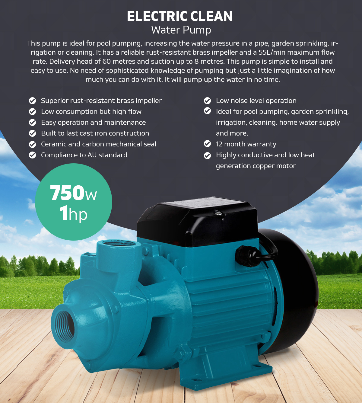 750W 1 HP Water Pump Electric Garden Farm Home Clean 60m Head 220~240V/ 50Hz