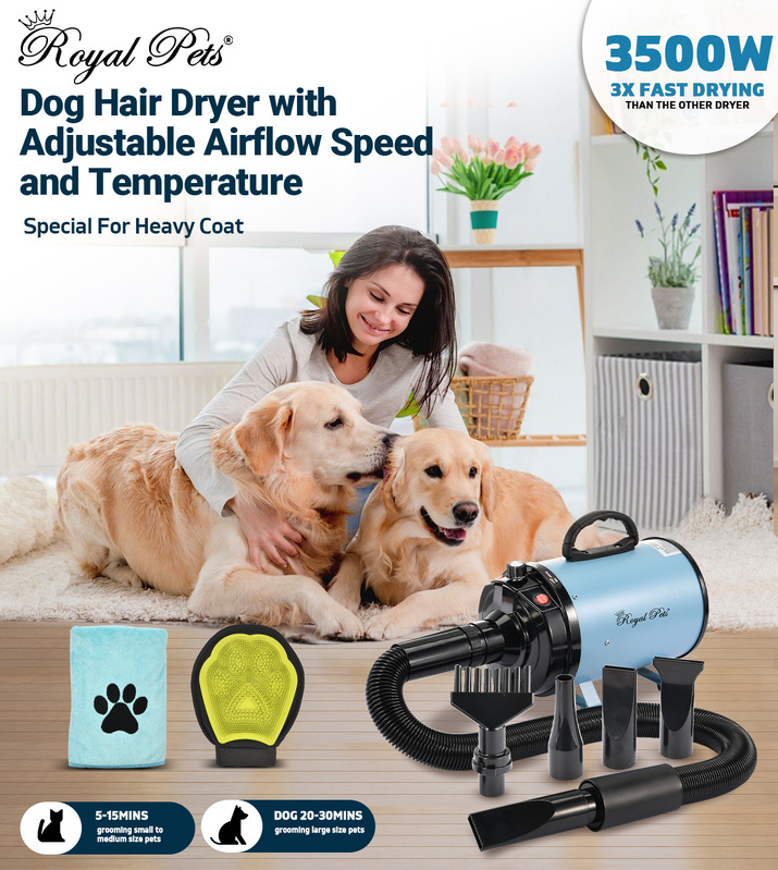 Dog Cat Pet Hair Dryer Grooming Low Noise Hairdryer Blower Heater 3500W Blue