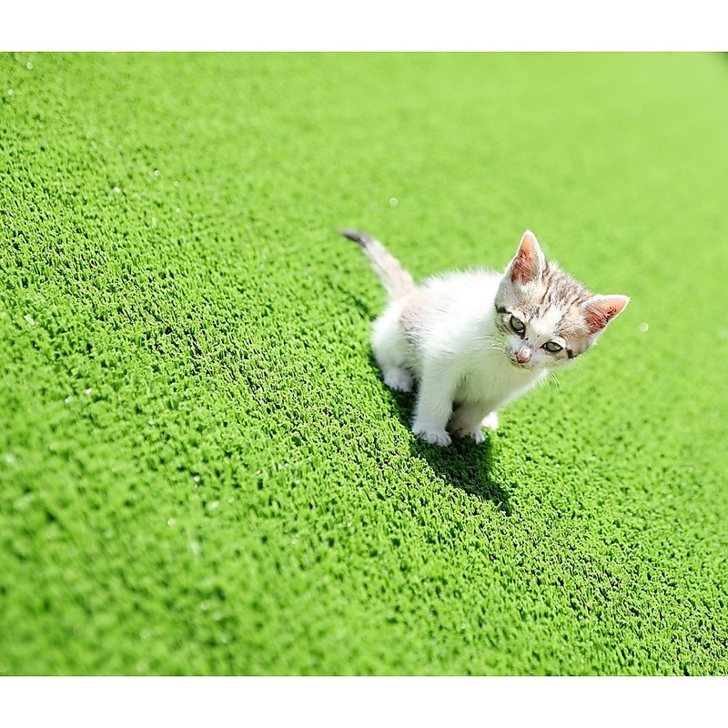 Synthetic Artificial Grass Turf 10 sqm Roll - 20mm