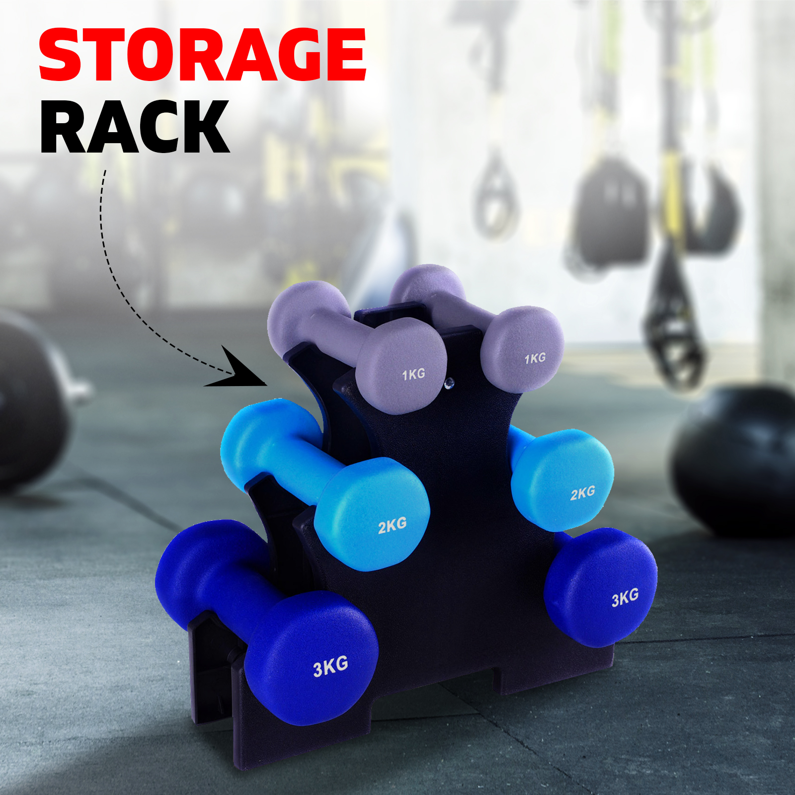 6 Piece Fitness Dumbbell Workout Weights Set 12kg with Stand Exercise Home Gym