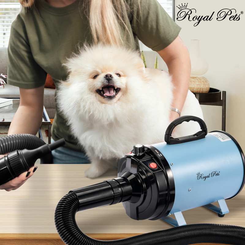 Dog Cat Pet Hair Dryer Grooming Low Noise Hairdryer Blower Heater 3500W Blue