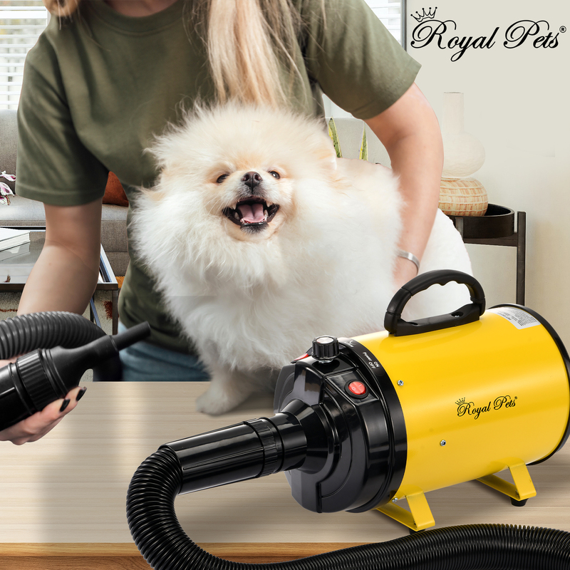 Dog Cat Pet Hair Dryer Grooming Low Noise Hairdryer Blower Heater 3500W Yellow