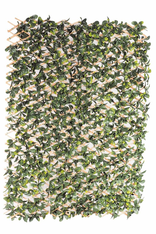 Laurel Hedge Extendable Light Timber Trellis / Screen 2 Meter By 1