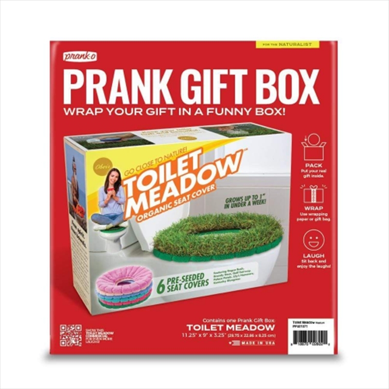 10 Prank Gift Boxes To Hide Your Real Presents In  12 Tomatoes