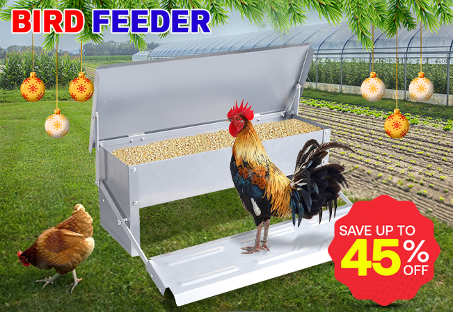 Christmas Bird Feeder