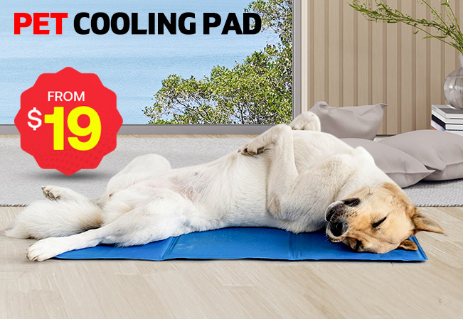 Summer Cooling Pad