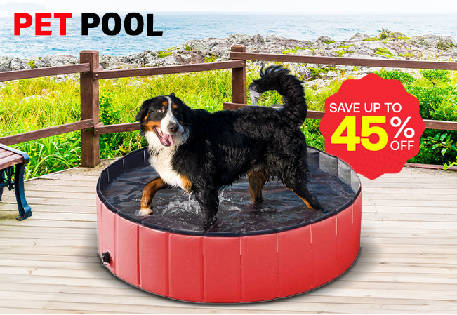Summer Pet Pool