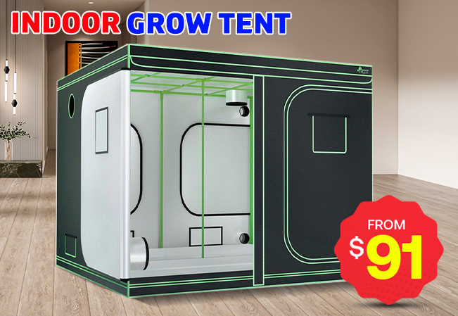 Grow Room