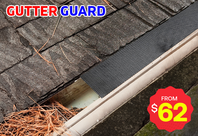 Gutter Guard