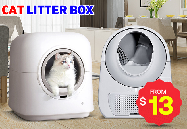 Litter Box