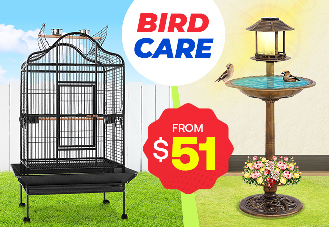 Bird Pet Care