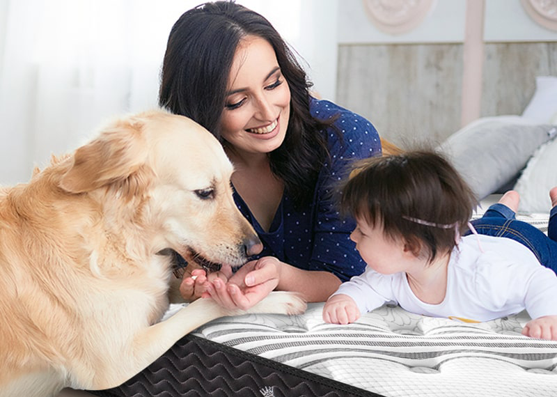 Does a Good Mattress Lead to Better Sleep? image