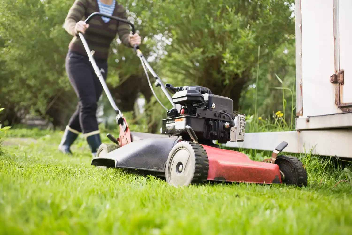 How to Choose the Right Lawn Mower? Useful Tips + 5 Things You Can’t Miss  image