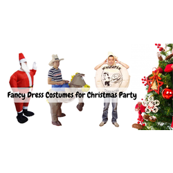 Highly Desired Christmas Fancy Dress Costumes in Australia! image